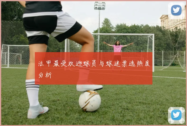 法甲最受欢迎球员与球迷票选热度分析